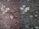 Montage.webp