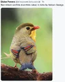 Screenshot 2026-07-31 at 4.28.13 PM.webp