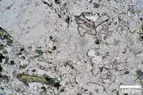 DSC_8199.webp