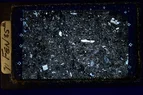 71 Fen 35 iii.webp