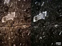 Montage4.webp