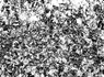 Ti-Stressed-Etched-normallight-20x.jpg
