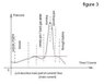 figure3.JPG