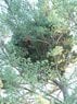 2012_0813_180638AA.jpg
