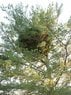 2012_0813_180615AA.jpg