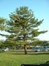 2012_0813_180459AA.jpg