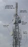 antennas1.jpg
