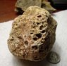 071 pitted rock e.jpg