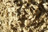021 fossils.jpg