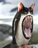 Pengwuinos_bite.jpg