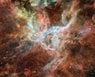 Tarantula Nebula_PF.jpg