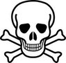 skull and Xbones.jpg