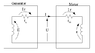 Fig1.gif
