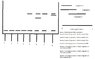 DNA-protein binding diagram.jpg
