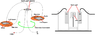 Electrostatic motor.PNG