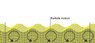 particle-motion.jpg