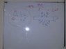 IMG-20130421-00456.jpg