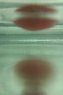 IMAG0417.jpg