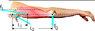 serw0818_zpsee908648.gif