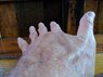 WideAngleHand.jpg