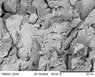 Charpy Brittle impact test - SEM.jpg