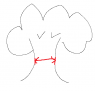 length.PNG