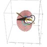 pochammer contour trace.jpg