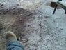 IMG_20140215_110035.jpg