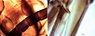 Honey Mouth Parts WM 10x10x.jpg