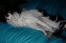 chopin stretching1.jpg