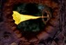 Lexx - 2x20 - End of the Universe.mkv_snapshot_01.03_[2014.11.30_03.06.27].jpg