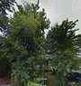 2011.July.my.house.street.view.google.earth.jpg