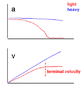 PF070115termvelocity2.gif