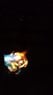 Erbium_glow.jpg