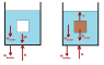 Buoyant Force Problem.png