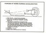 3rd link IC 001.jpg
