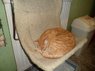 SAM_0171.JPG