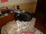 SAM_0174.JPG