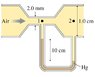 figure 1.jpg