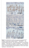 Screen Shot 2016-02-20 at 12.34.35 AM.png