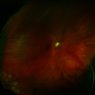 whatisit2.jpg