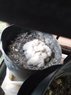 IMG_20160621_072245.jpg