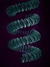 SEM_60-watt_light_bulb_filament_(75x).jpg