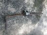 truck damage 1.JPG