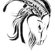 ehild