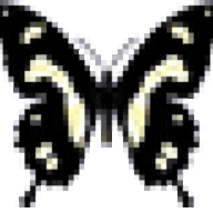 EvilPoet