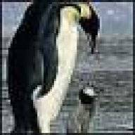 epenguin