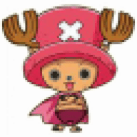Codexus