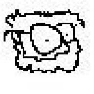 pilofrogs