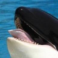 domainwhale